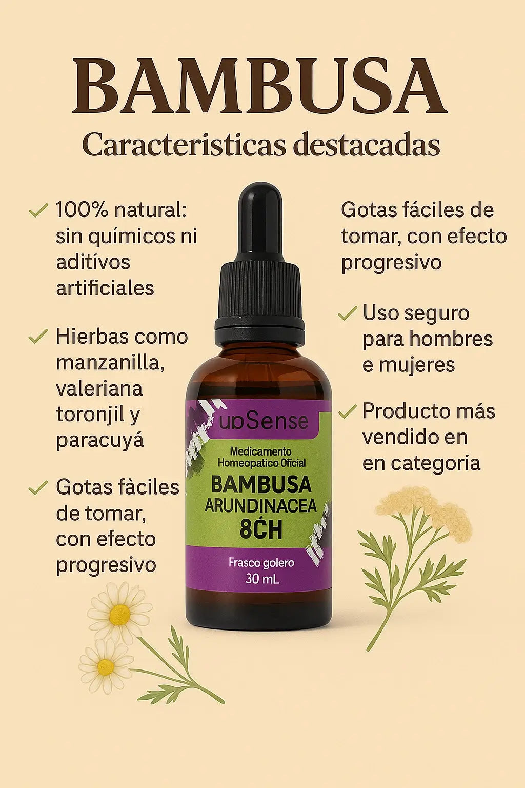 Bambusa Equilibrio Natural