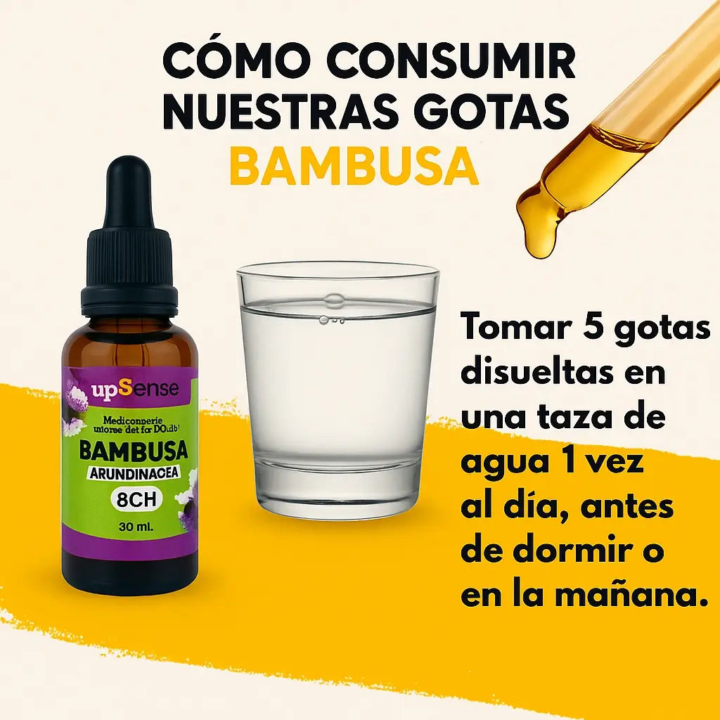 Bambusa Equilibrio Natural
