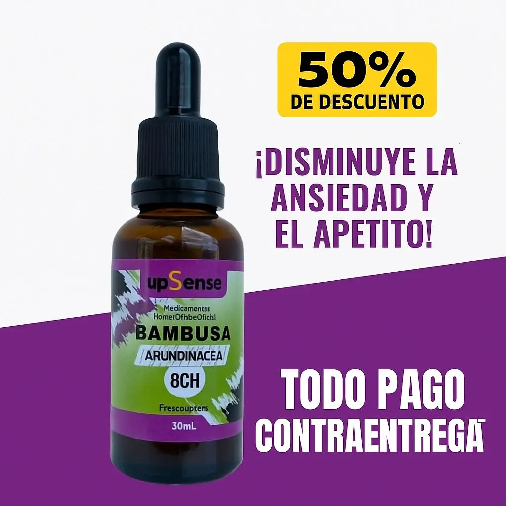Bambusa Equilibrio Natural