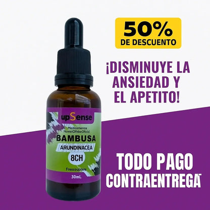 Bambusa Equilibrio Natural