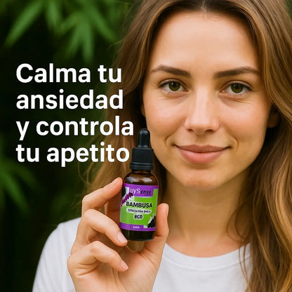 Bambusa Equilibrio Natural