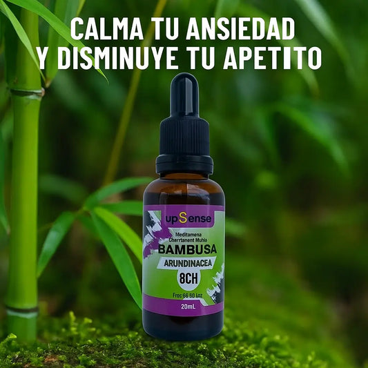 Bambusa Equilibrio Natural