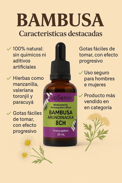 Bambusa Equilibrio Natural