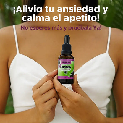 Bambusa Equilibrio Natural